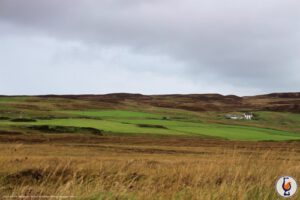 Scarabus | 10 Jahre | Undisclosed Islay