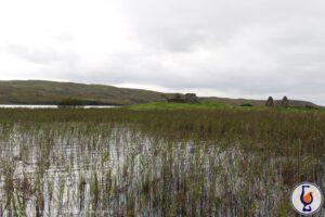 South Islay | aged 16 years | A Dream of Scotland