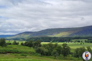 Tullibardine | aged 20 years | Distillery Bottling