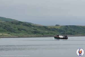 New Year on the Shore of Campbeltown Loch