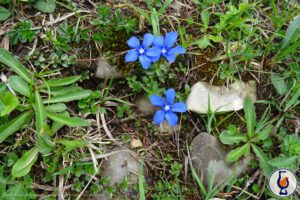 Bud Spencer & Co. | Ist St. Kilian auf der richtigen Spur?