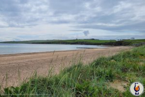 Scapa | aged 16 years | Small Batch