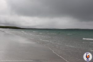 Bunnahabhain | aged 8 years | Signatory 100 Proof Edition #31