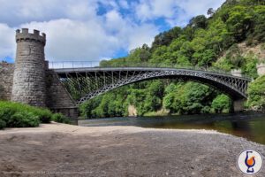 Glenallachie | 2016 – 2025 | Crazy Coos Reloaded – Part 2