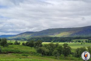 Five in a Row | Speyside Distillery – A Lost Distillery
