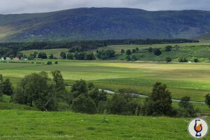 Spey | 10 years old | Speyside Distillery