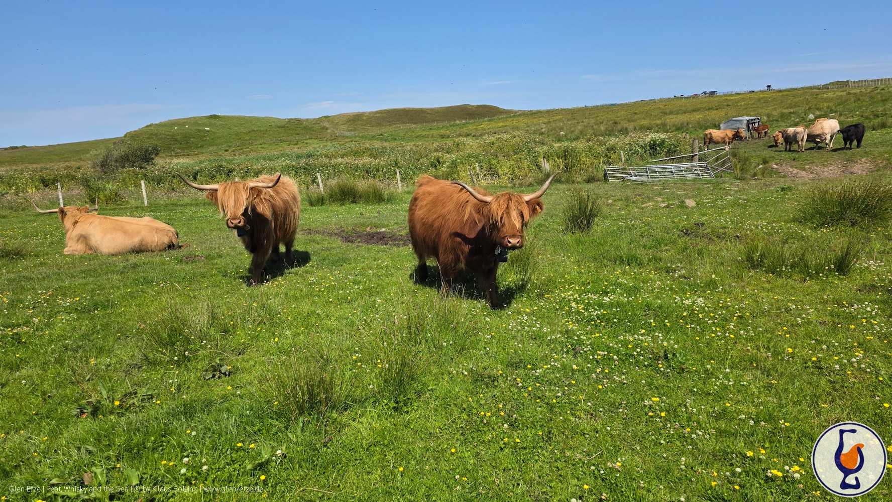 Mehr über den Artikel erfahren Whisky for Two | Crazy Coos