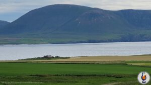 An Orkney | Error 502 Bad Gateway | Thompson Brothers