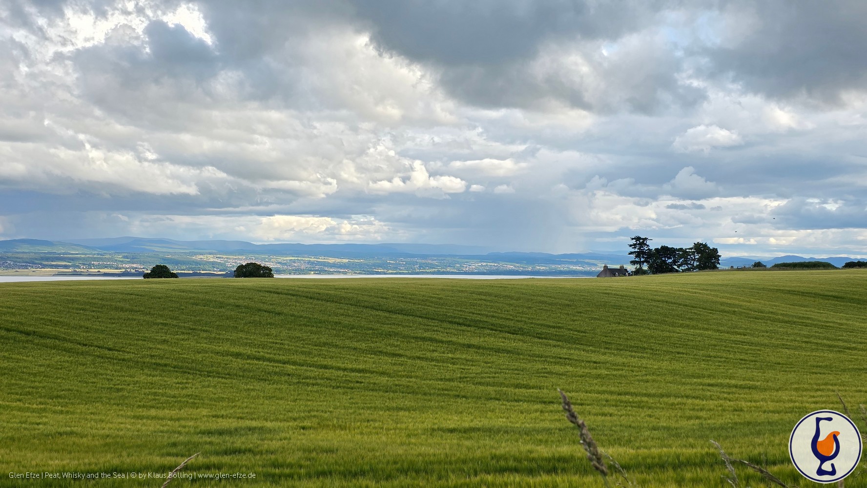 Clynelish | aged 14 years | Macbeth Collection – Servant