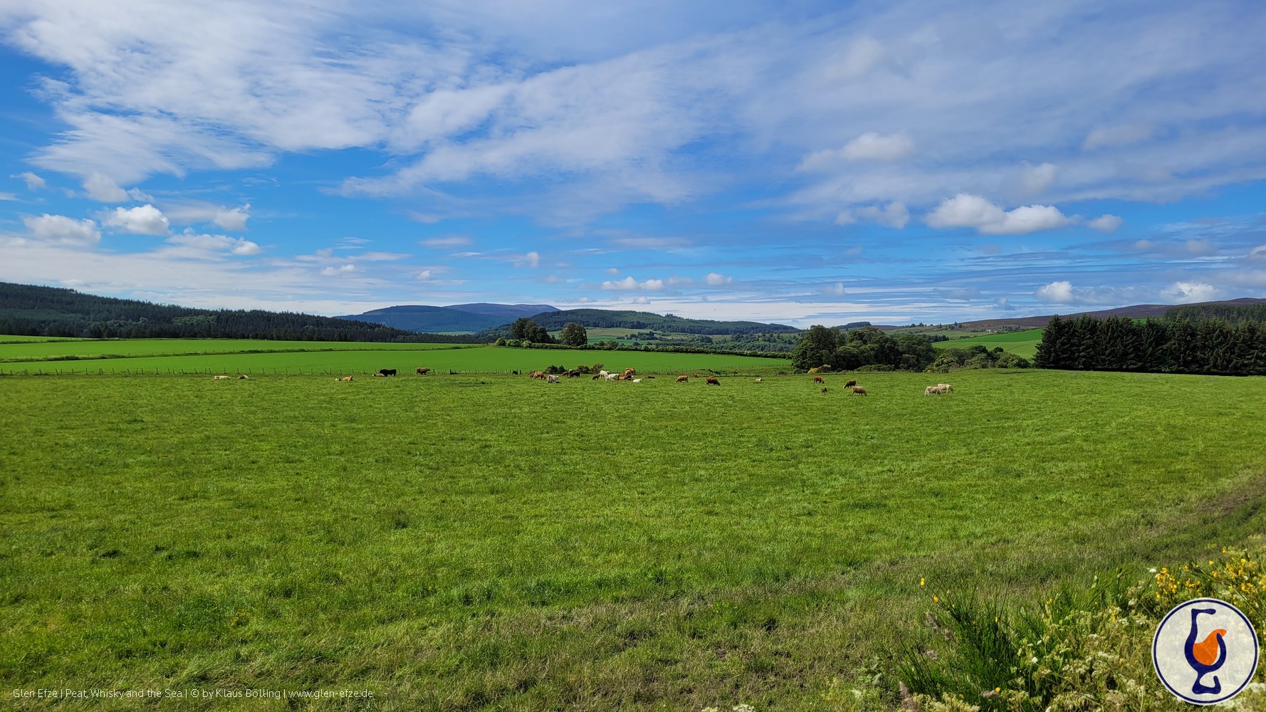 Mehr über den Artikel erfahren Blended Malt (Ballindalloch) | 2016 – 2024 | Thompson Brothers