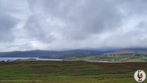 Benriach | aged 10 years | Signatory 100 Proof Edition #40