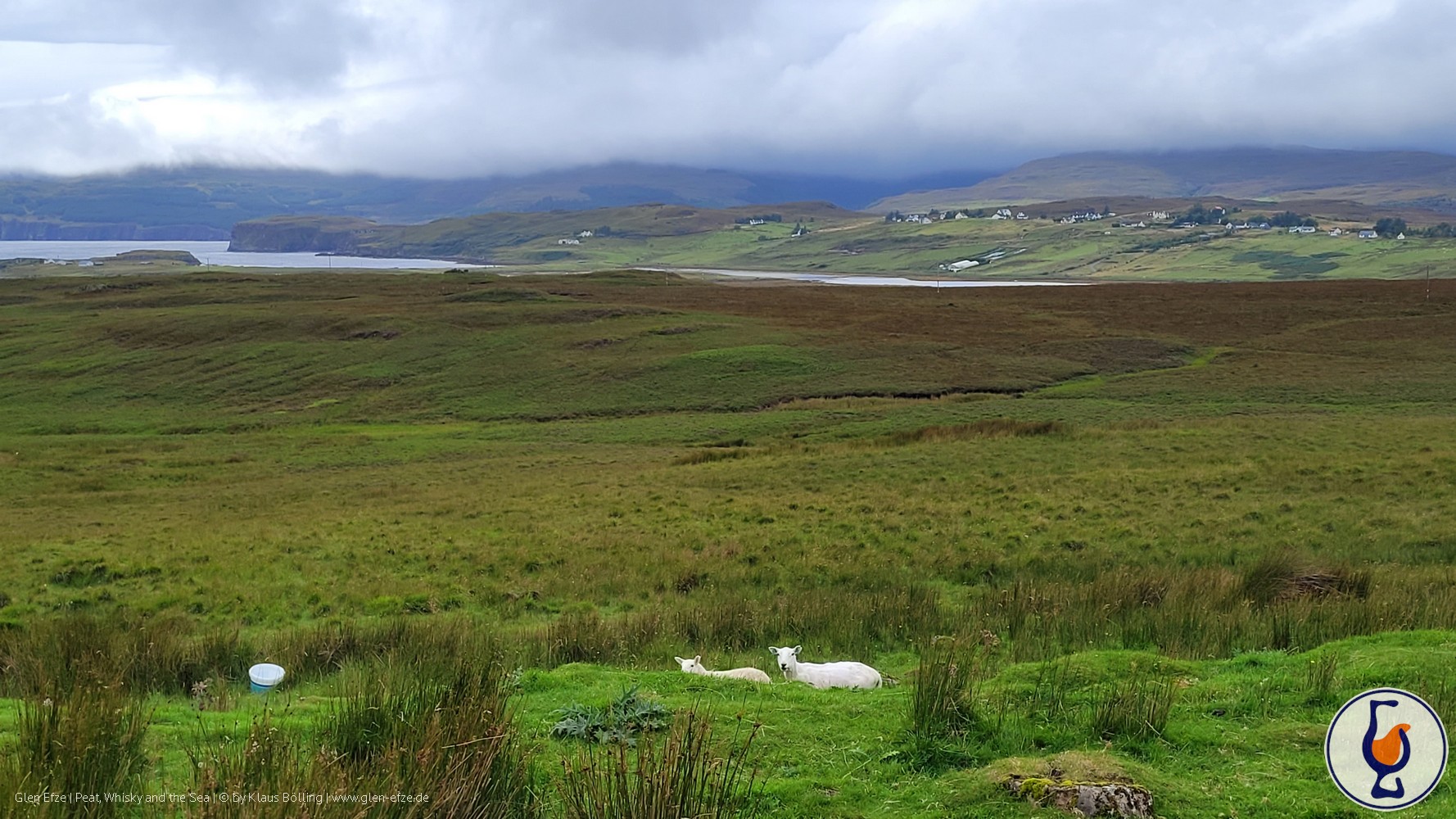 Mehr über den Artikel erfahren Ben Nevis | aged 9 years | Signatory 100 Proof Edition #41