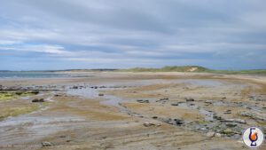 Wolfburn | aged 12 years | Distillery Bottling