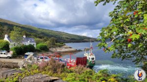 Teaninich | 2011 – 2024 | Animals of Scotland