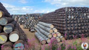 Mannochmore | 2008 – 2025 | Cask Strength Collection – Symington’s Choice