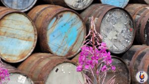 Mannochmore | 2012 – 2024 | Signatory 100 Proof Edition #13