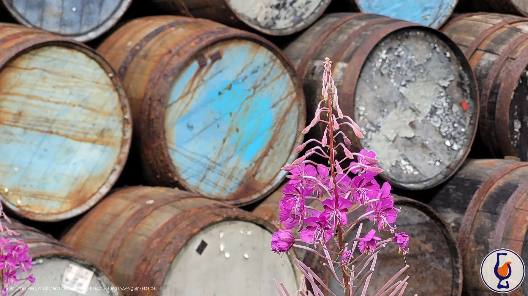 Mehr über den Artikel erfahren Mannochmore | 2012 – 2024 | Signatory 100 Proof Edition #13