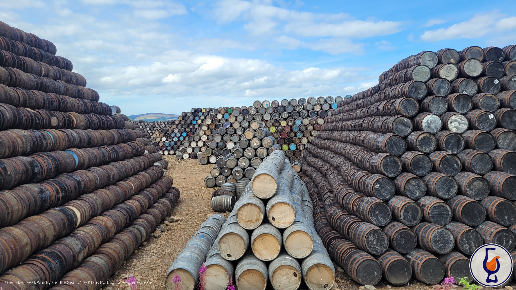 Mehr über den Artikel erfahren Mannochmore | 2014 – 2025 | Signatory 100 Proof Edition #51