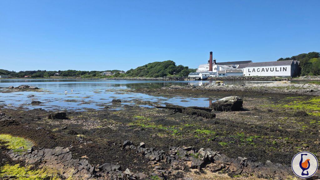 South Islay | aged 18 years | A Dream of Scotland – Red Devil Edition