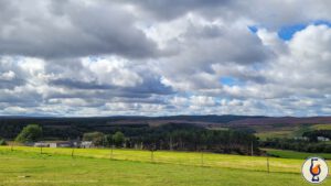 Mehr über den Artikel erfahren Ardmore | 2012 – 2025 | The Decanter Collection