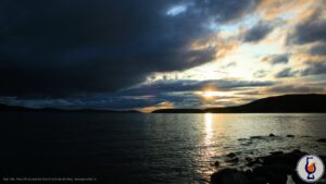 Whisky for Two | Ardmore from the Thompson Brothers