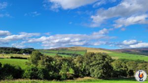 Benrinnes | aged 13 years | Signatory 100 Proof Edition #56