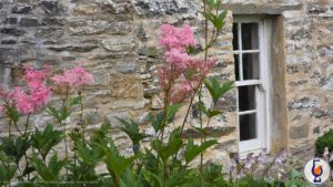 Mehr über den Artikel erfahren Burns Night 2026 | Sauternes with the Haggis?