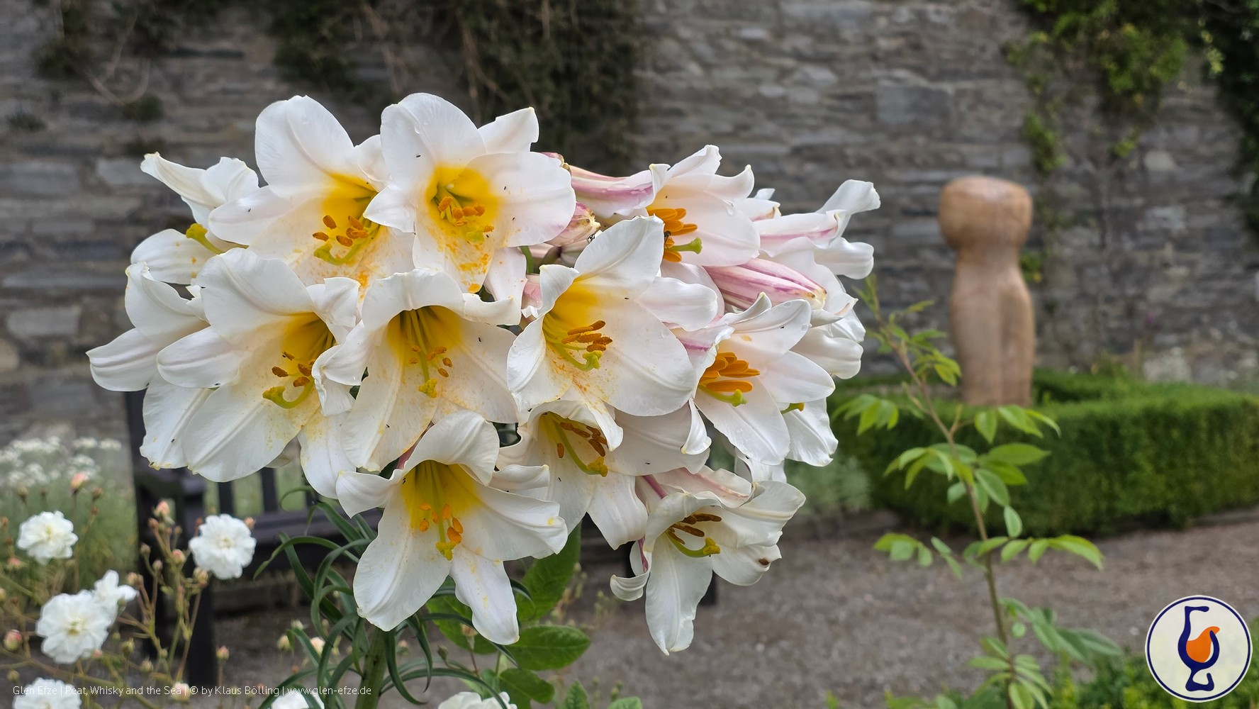 Edradour | 2012 – 2015 | Sauternes Cask Matured – Small Batch