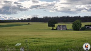 Arran | 10 years old | Arran Barley Batch 001