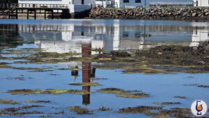 Islay South Coast | aged 12 years | A Dream of Scotland