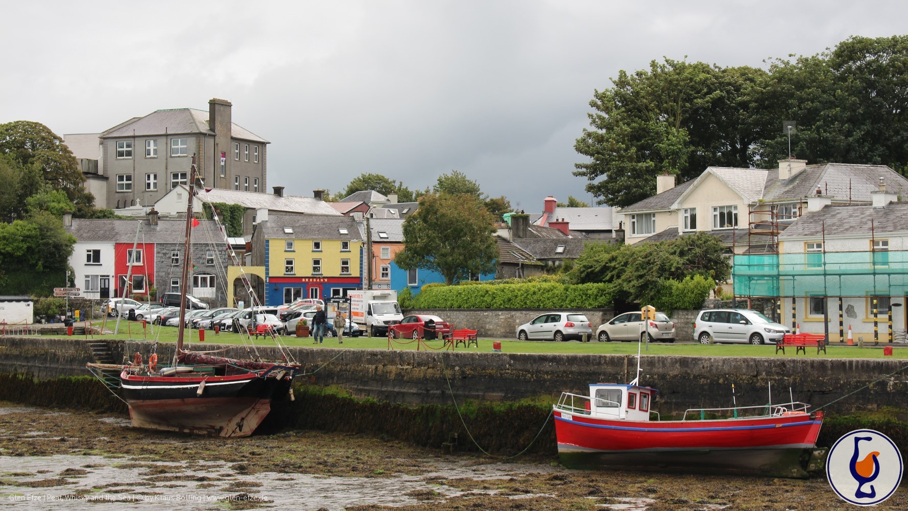 Dingle | aged 10 years