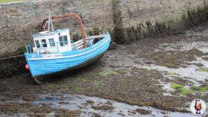 Distilled in Ireland | aged 17 years | A Dream of Ireland