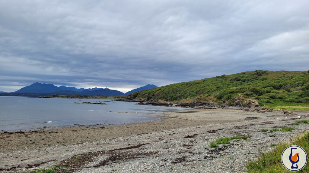 Glentauchers | 2010 – 2025 | The Caskhound