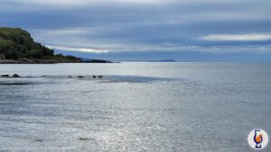 Octomore | aged 10 years | A Dream of Scotland