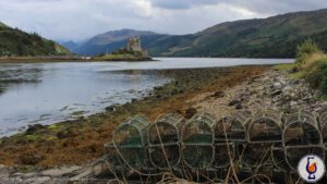 Inchgower | 2011 – 2025 | Cask Strength Collection