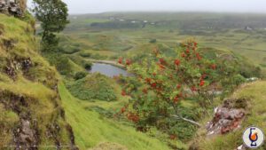 Old Perth | aged 21 years | Morrison Scotch Whisky Distillers