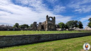 Longmorn | aged 20 years | The Fine Art of Whisky