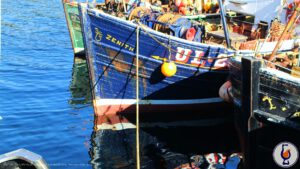 Aultmore | aged 17 years | 100 Proof Exceptional Cask Edition #5