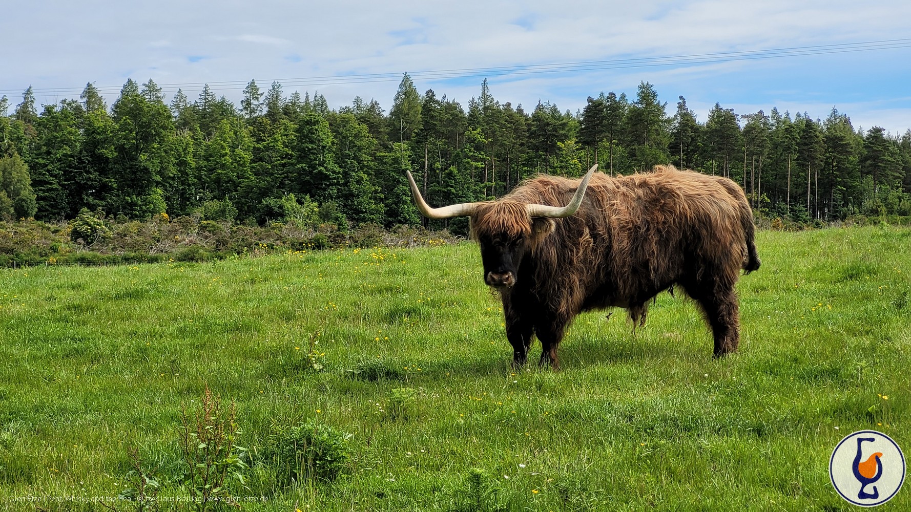 Glen Moray | 2010 – 2025 | Crazy Coos Reloaded #10