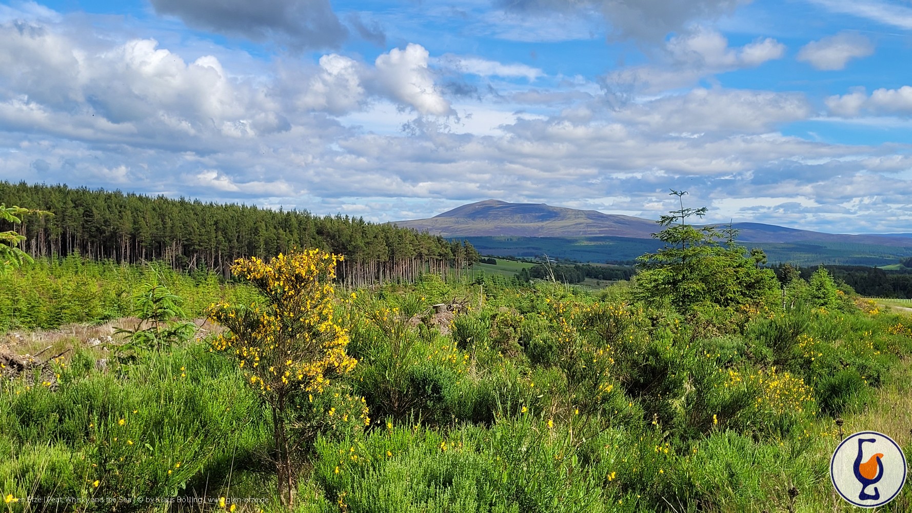 Benrinnes | 2008 – 2024 | Animals of Scotland #10