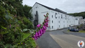 Caol Ila | 2009 – 2026 | The Whisky Cask