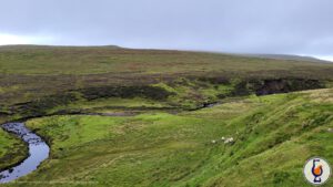 Five in a Row | Claxton’s – A Visit to Dalswinton Estate