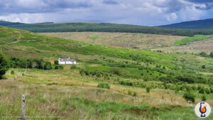 Clynelish | 2013 – 2026 | Legends at The Bar #2 – The Selkie